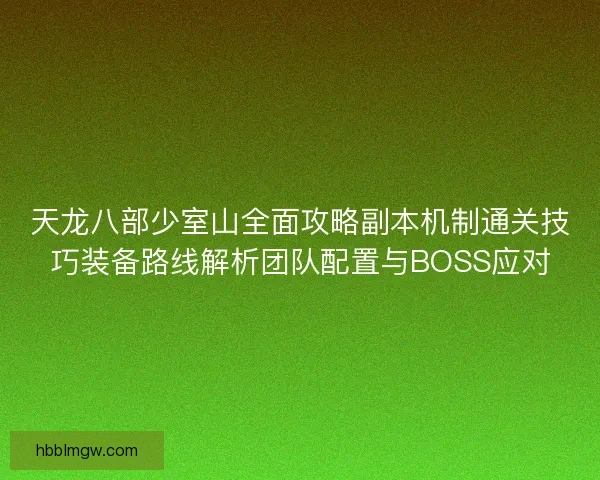 天龙八部少室山全面攻略副本机制通关技巧装备路线解析团队配置与BOSS应对
